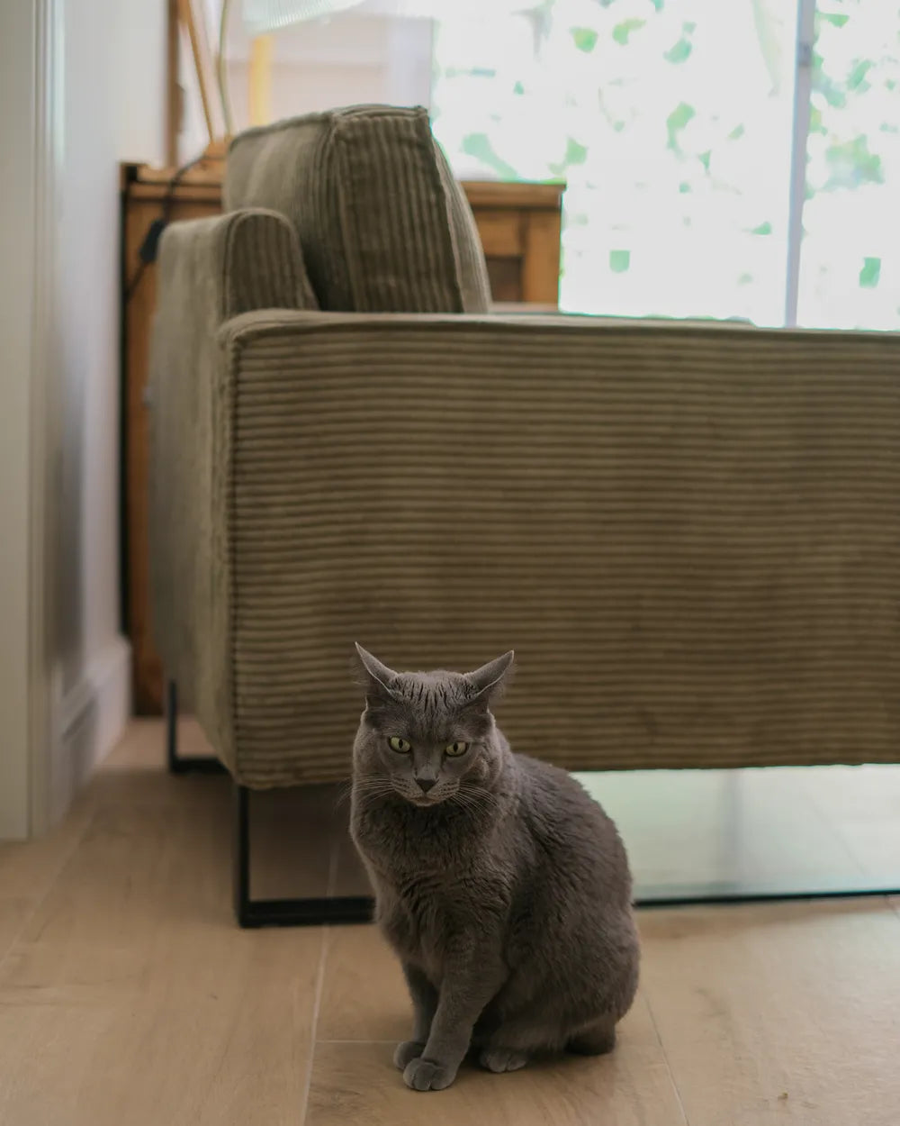 VIND Corduroy Armchair with Sled Base – Green Upholstered Accent Chair with Removable Covers, Stainless Steel Frame